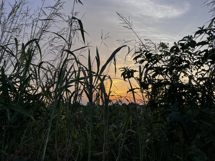 Tramonti