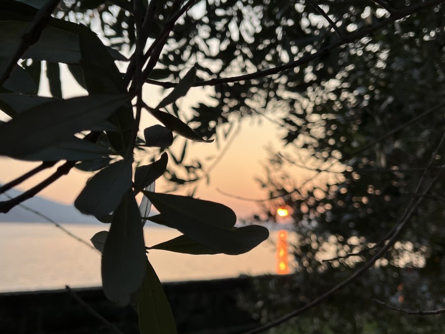 Tramonti