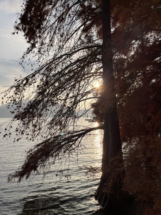 Foto di viaggio